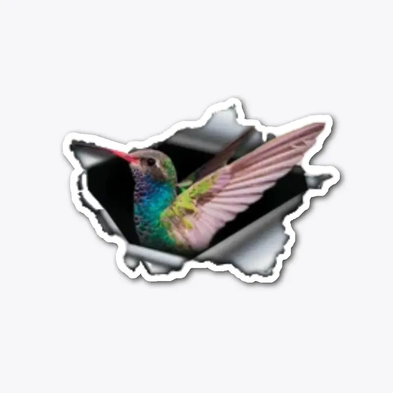 Hummingbird decal